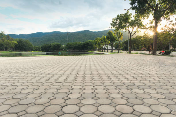 Best Concrete Paver Driveway  in Travis Ranch, TX