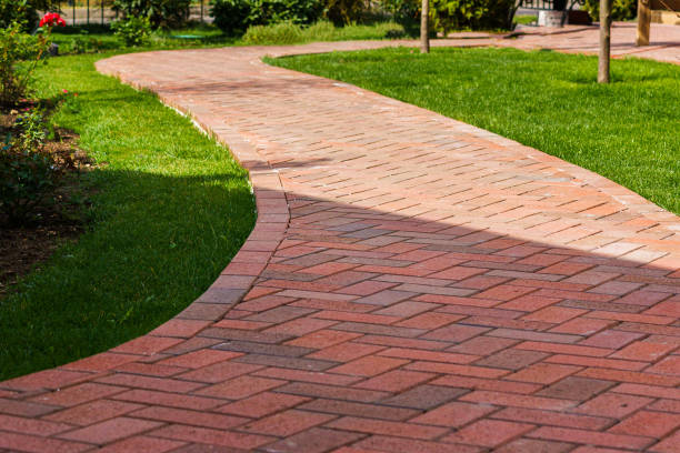 Best Local Driveway Pavers  in Travis Ranch, TX